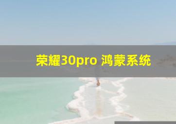 荣耀30pro 鸿蒙系统